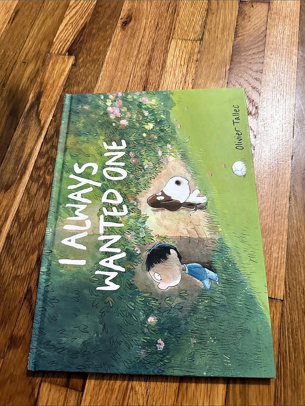 Oliver Jeffers I Always Wanted One Children's Illustrated Book